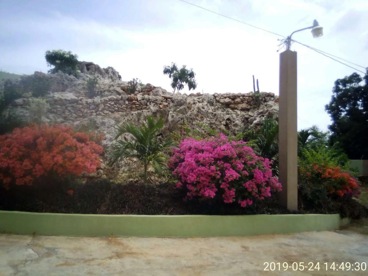 Eve'S Rockaway Villa Alligator Pond Esterno foto