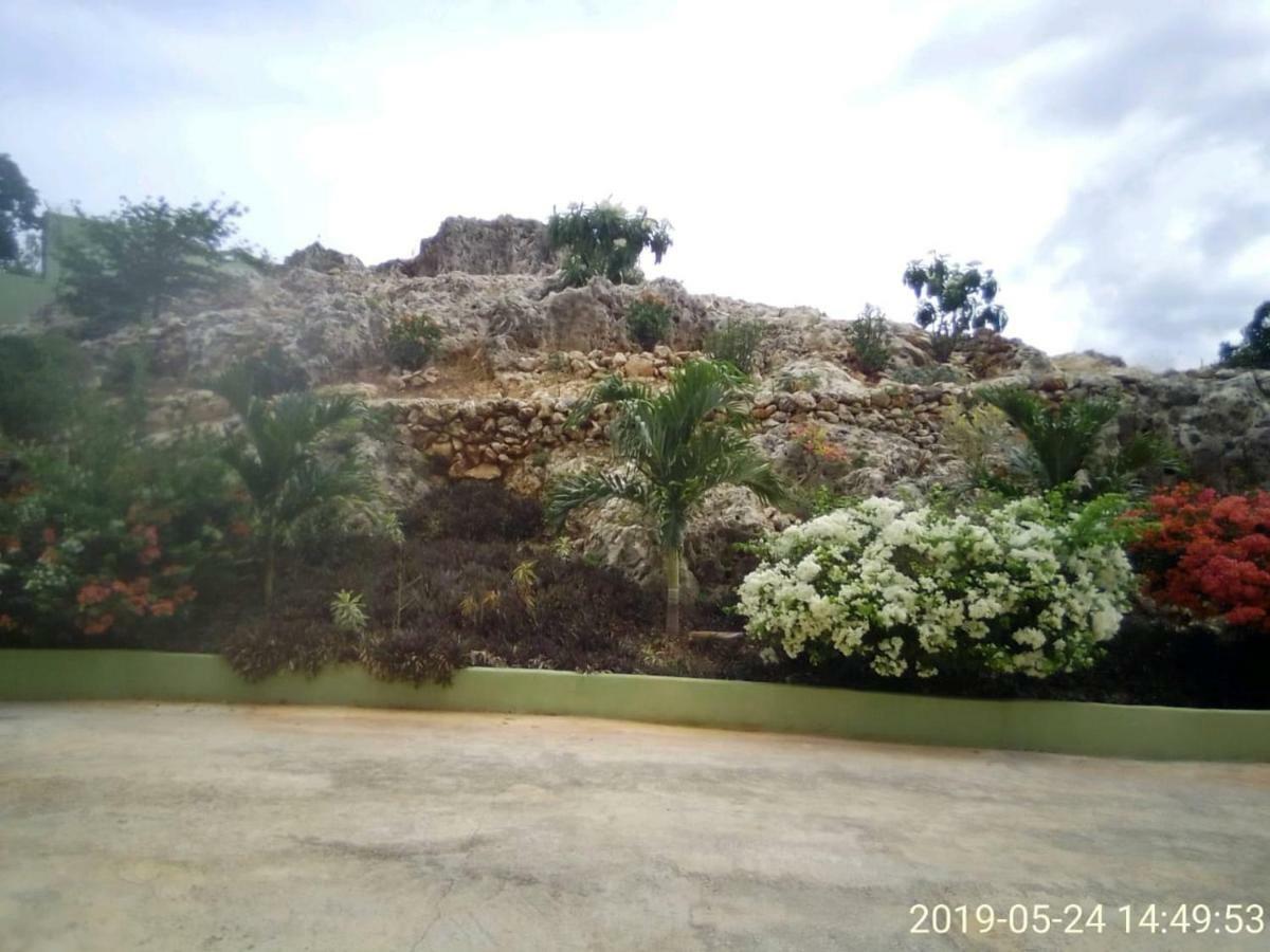 Eve'S Rockaway Villa Alligator Pond Esterno foto